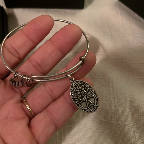 Alex and Ani Silver Charm Bracelet Set - Picture 4 of 5